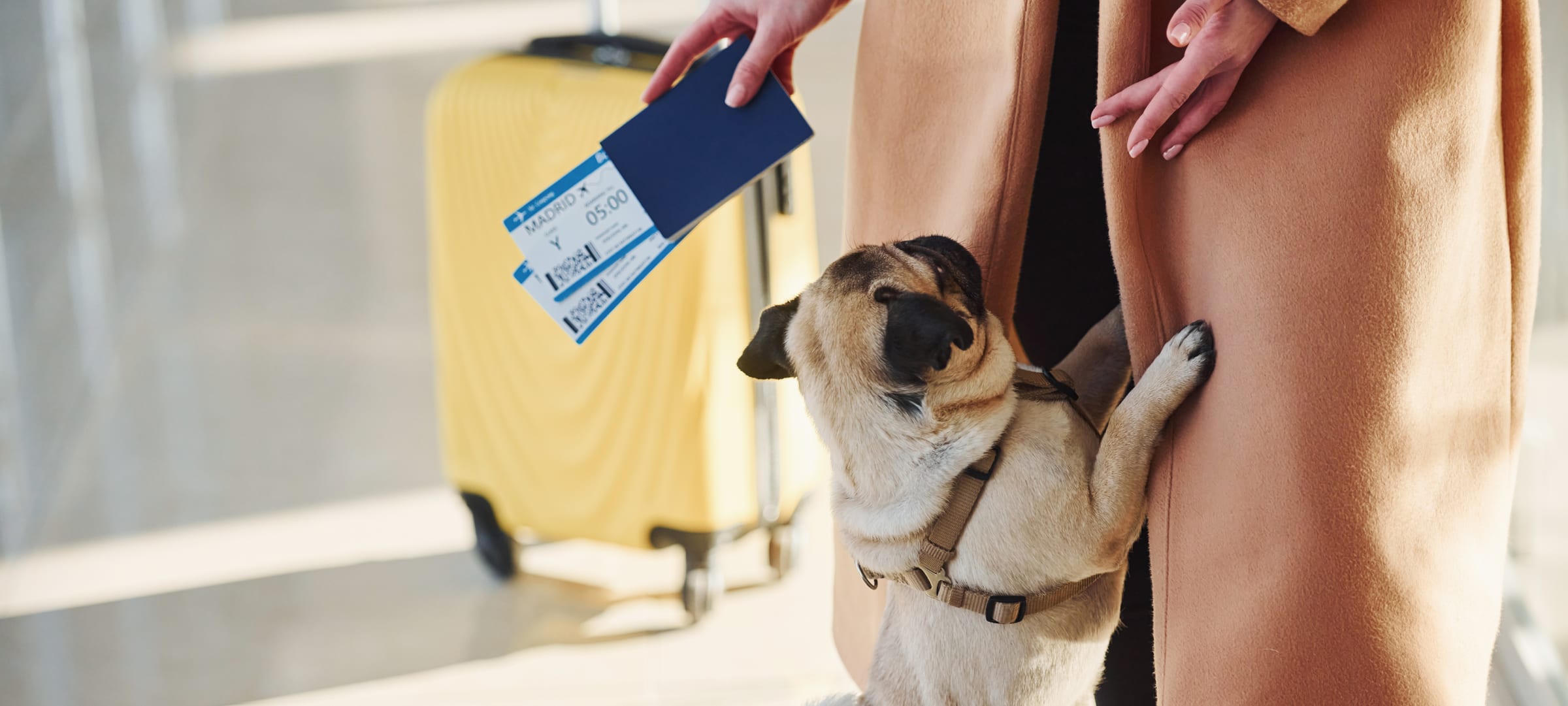 Tutora no aeroporto com passaporte, cartões de embarque e seu cão
