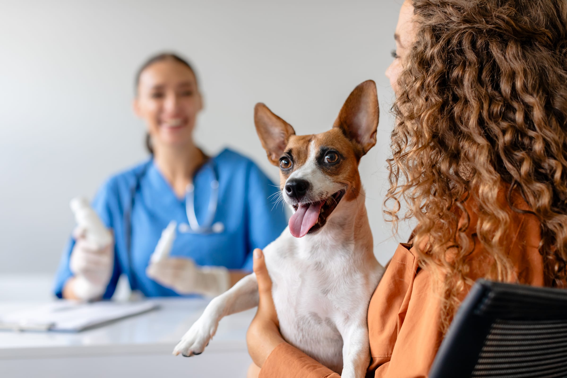 Veterinário atendendo um cão acompanhado do tutor na Vet Pituka