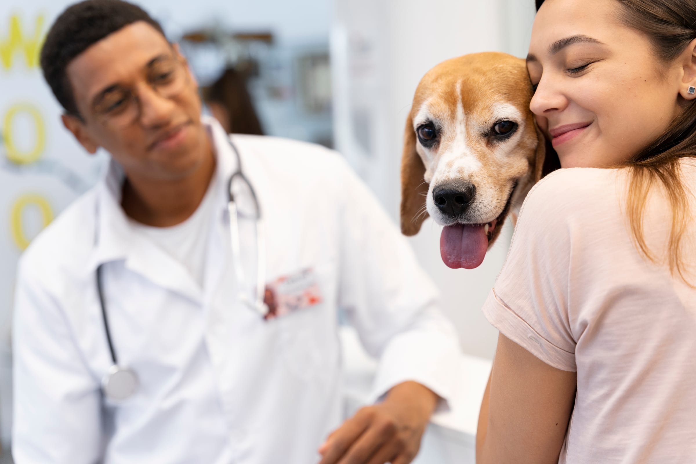 Veterinário cuidando de um cão durante a consulta